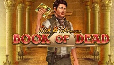 Book Of Dead Banner